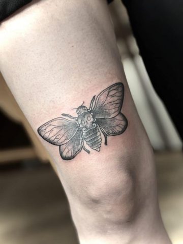 Black-and-Grey Totenkopf Nachtfalter Tattoo als Cover-Up oberhalb des Knies mit feinen Schattierungen und detaillierten Flügeln.