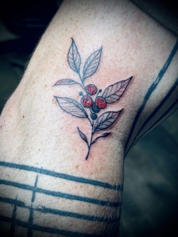 Feines botanisches Fine Line Tattoo einer Kaffeepflanze mit Blättern und Kaffeekirschen am Unterarm, minimalistisches Black and Grey Tattoo von Sabine Jacobs im Talisman Tattoo Studio in Raeren, hochwertige florale Tattoos nahe Aachen, Eupen und Ostbelgien.