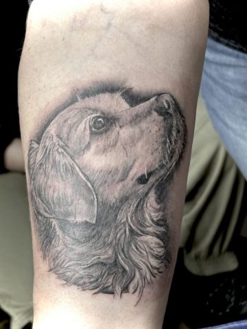 Dieses realistische Hunde Portrait Tattoo wurde als liebevolle Erinnerung an einen treuen Begleiter gestochen. Durch feine Black-and-Grey-Schattierungen, detaillierte Fellstrukturen und einen lebendigen Blick entsteht ein besonders emotionales Haustier-Tattoo. Individuelle Tierportraits zählen zu den persönlichsten Tattoo-Motiven und bewahren Erinnerungen für die Ewigkeit. Professionell umgesetzt bei Talisman Tattoo in Raeren, Ostbelgien – spezialisiert auf realistische Tattoos, Tierportraits, Black & Grey Tattoos und Erinnerungstattoos nahe Aachen, Eupen, Lüttich und Luxemburg.