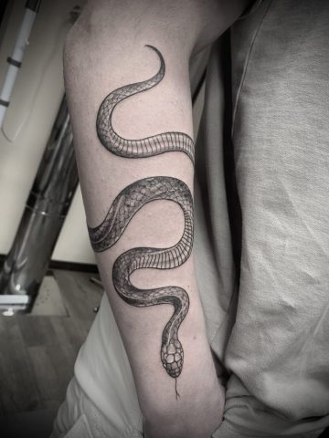 Schlangen Tattoo in Black and Grey, realistische Schlange mit feiner Schuppenstruktur am Unterarm, minimalistisches Naturmotiv, individuelles Custom Tattoo gestochen bei Talisman Tattoo, Tattoo Studio Aachen Deutschland, Eupen Ostbelgien, NRW, Nähe Köln Düsseldorf Lüttich Luxemburg , Sankt vith