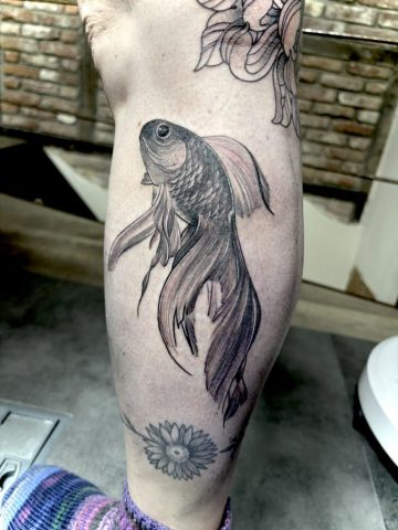 Dieses Betta Fisch Tattoo vereint Eleganz, Bewegung und Detailreichtum in einem hochwertigen Black-and-Grey-Design. Die fein ausgearbeiteten Schuppen, die langen fließenden Flossen und die weichen Schattierungen verleihen dem Kampffisch eine besonders lebendige Wirkung. Fisch-Tattoos stehen häufig für Freiheit, Wandel, Ausdauer und innere Stärke. Das Motiv eignet sich ideal für Liebhaber von Naturmotiven, Aquaristik und filigranen Black-and-Grey-Tattoos. Professionell gestochen bei Talisman Tattoo in Raeren, Ostbelgien – spezialisiert auf realistische Tattoos, Tiermotive, Fineline Tattoos und individuelle Tattoo-Kunst nahe Aachen, Eupen, Lüttich und Luxemburg.
